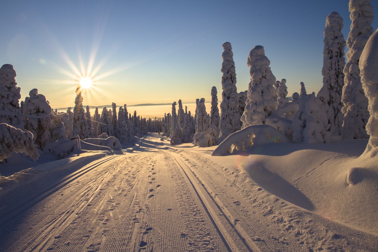Lees meer over het artikel Wat te doen in Lapland