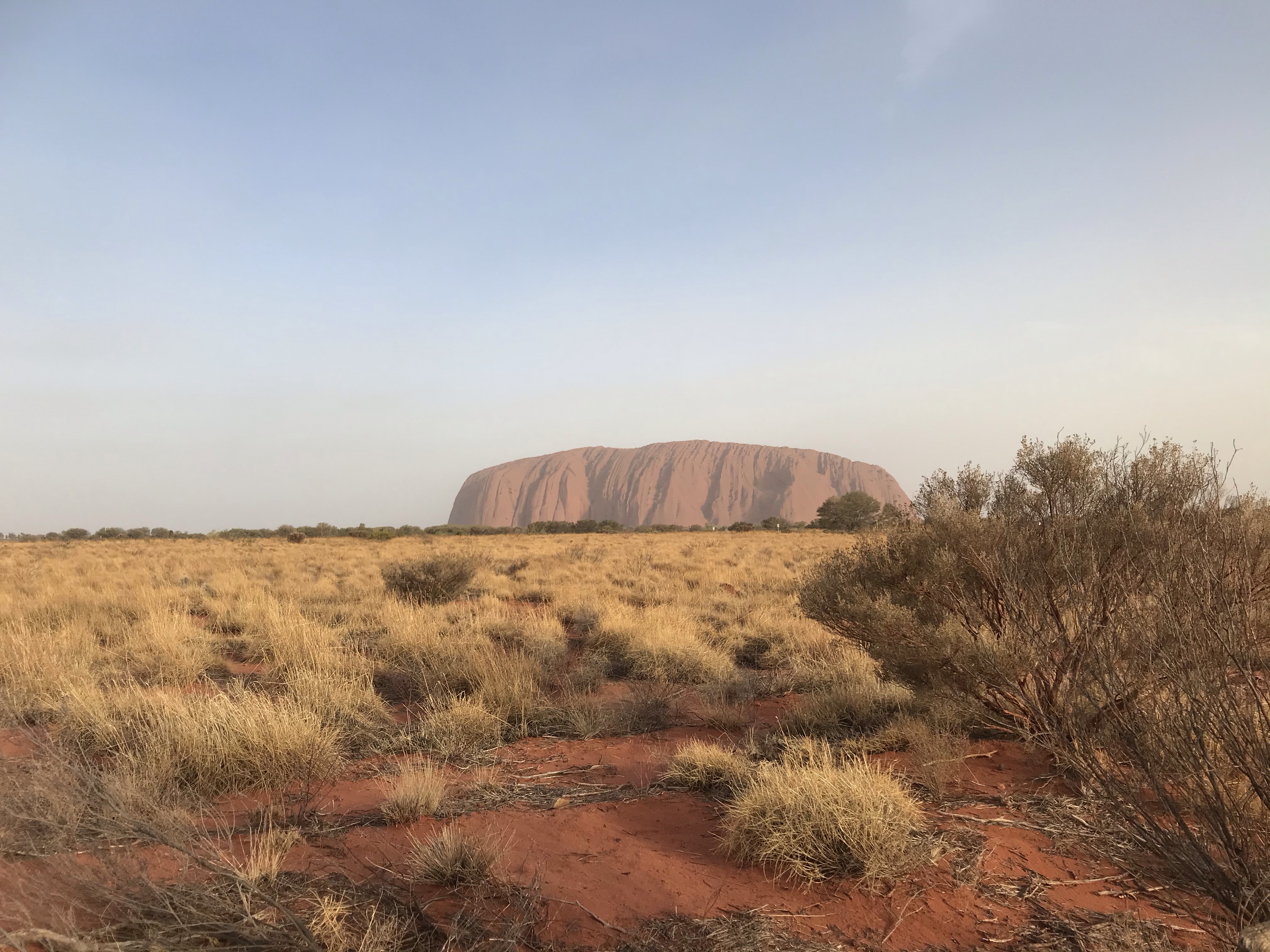 Lees meer over het artikel AUS (5) – Outback (Red Center), Uluru en kamperen!
