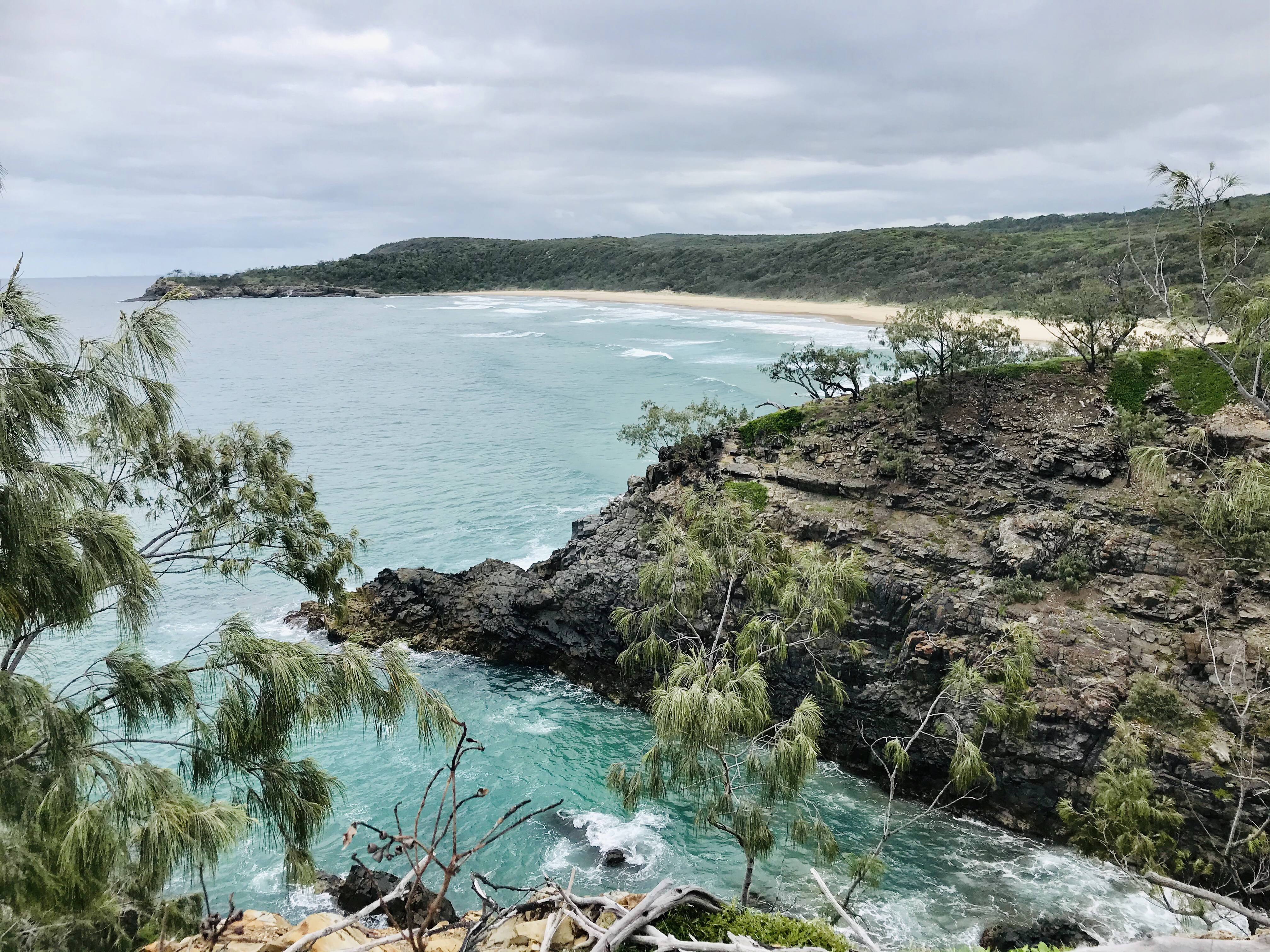 Lees meer over het artikel AUS (11) – Terug in Byron Bay en op pad in Noosa