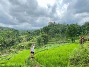 Lees meer over het artikel Lombok, Indonesië (4) – Rijstvelden, jungle en handwerken in Tetebatu