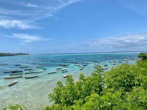 Lees meer over het artikel Nusa-eilanden, Indonesië (6) – Duiken, snorkelen en touren op Nusa Lemongan